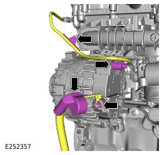 Engine and Ancillaries - Ingenium I4 2.0l Petrol